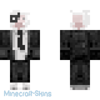 Aperçu de la skin Minecraft