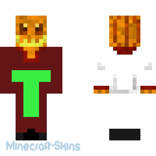 Aperçu de la skin Minecraft