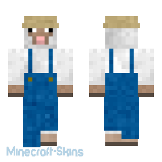 Aperçu de la skin Minecraft