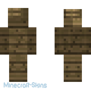 Aperçu de la skin Minecraft