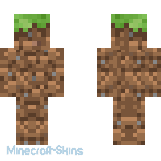 Aperçu de la skin Minecraft