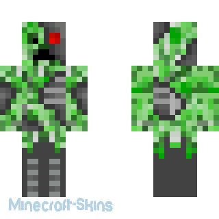 Aperçu de la skin Minecraft