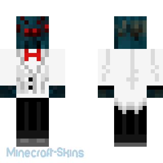 Aperçu de la skin Minecraft