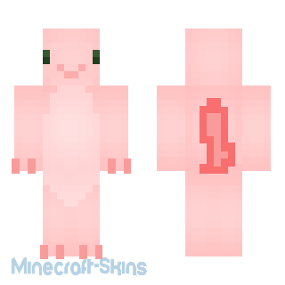 Aperçu de la skin Minecraft