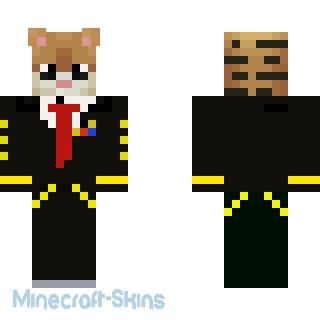 Aperçu de la skin Minecraft