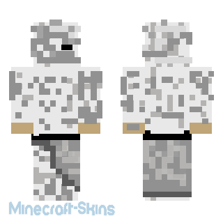 Aperçu de la skin Minecraft