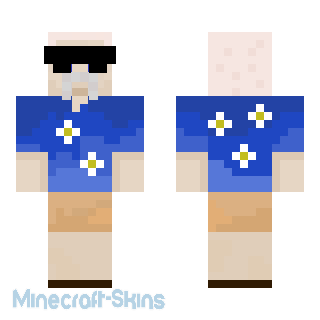 Aperçu de la skin Minecraft